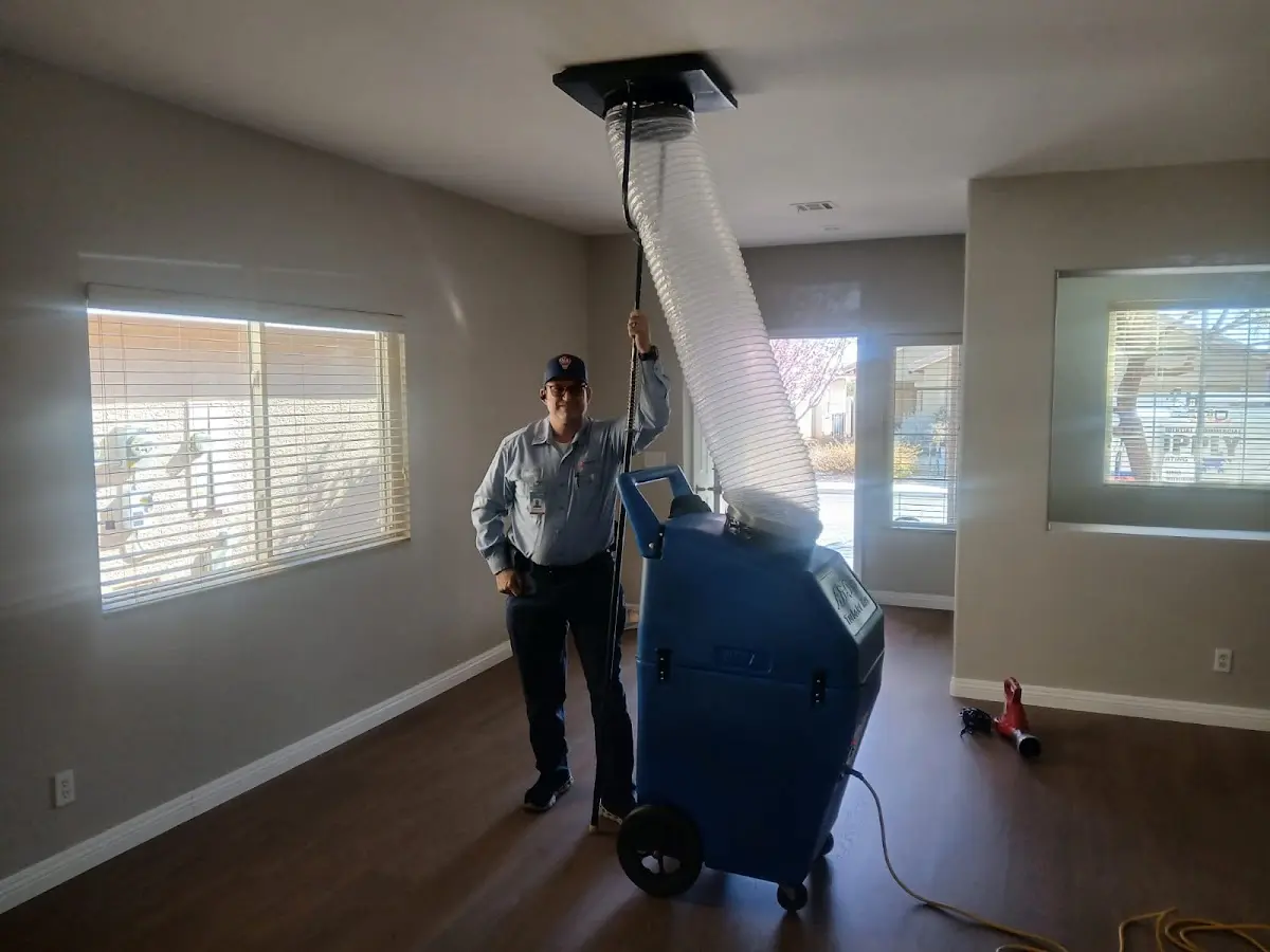 Professional Dryer Vent Cleaning work inside a Wheatfield home